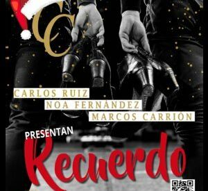 Flamenco en Vivo Recuerdo