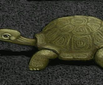 La llebre i la tortuga