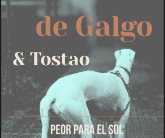 Mestizos de Galgo + Tostao