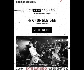 The new project + Grumble Bee + Rottenfish