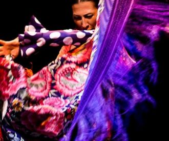 Flamenco Dance Museum