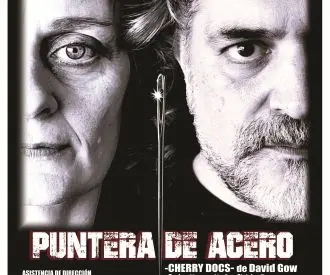 Puntera de Acero