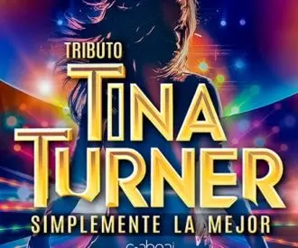 Tributo Tina Turner