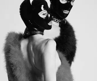 Animaux Formidables