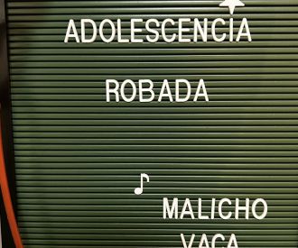 La Adolescencia Robada