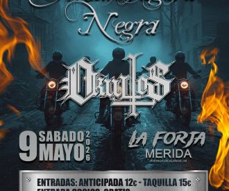 Mandrágora Negra y Okultos