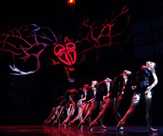 Turn me on - Ballet David Campos