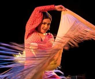 Espectáculo flamenco en el Barcelona City Hall