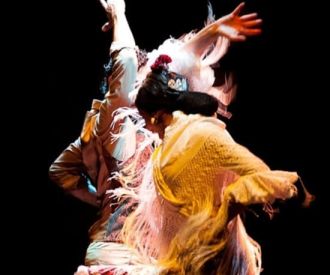 Authentic flamenco show