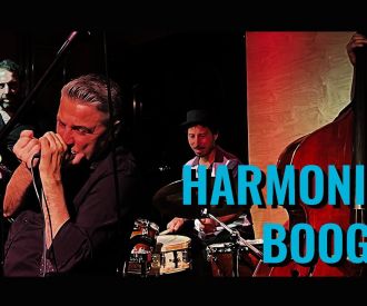 Fredyarmonica Band - Chicago Blues Night