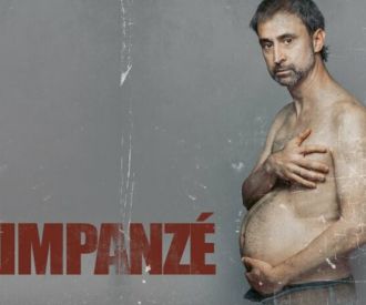Ximpanzé