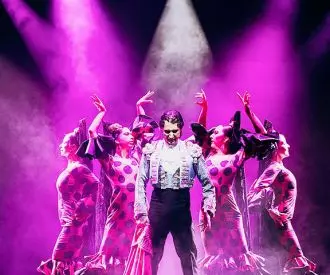 Olé Flamenco Show