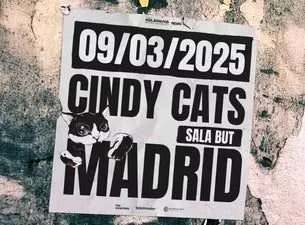 Cindy Cats