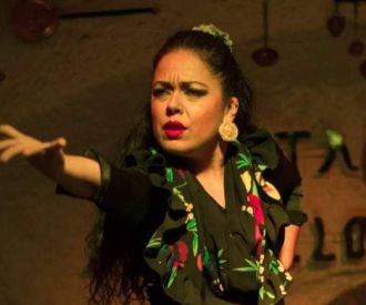 Auténtico Espectáculo de Flamenco - Venta el Gallo