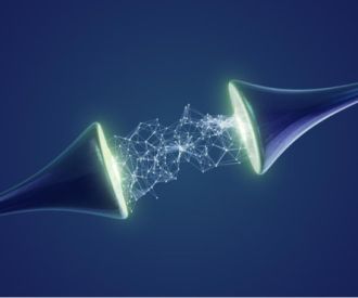 El cervell a través dels sentits