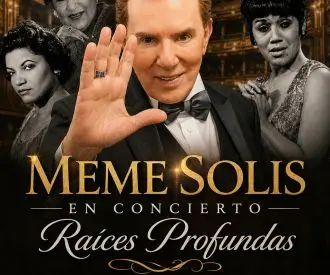 Meme Solis