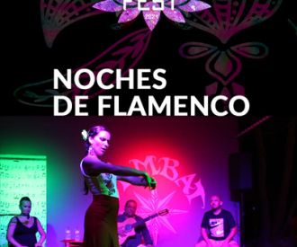 Noches de Flamenco en S'Embat