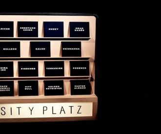 Sit y Platz