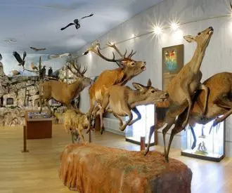 Museo de la Naturaleza Valle del Alberche