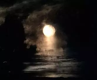 El Lago de los Cisnes (Cine)