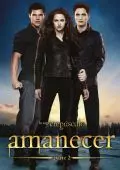 Cartel de la películaLa Saga Crepúsculo: Amanecer - Parte II