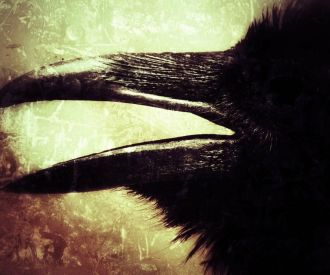 Black Dog - El regreso de los Ferrum Corvus