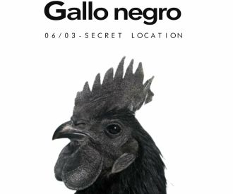 Gallo Negro