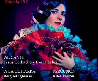 Recital de Flamenco Guadalupe Torres y su cía