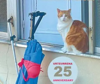 Festival MEM XXV Aniversario Hika