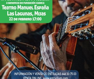 Festival Matt Mcgurk