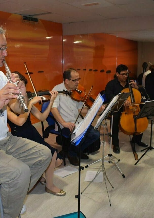 Entradas Mozart Para Bebés Trío de Música de Cámara