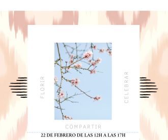 Festa de l'Ametller Tramuntana Party es Burotell