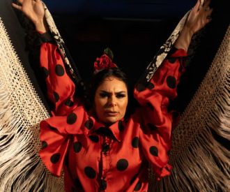 Flamenco Auténtico en el Gallo Ronco