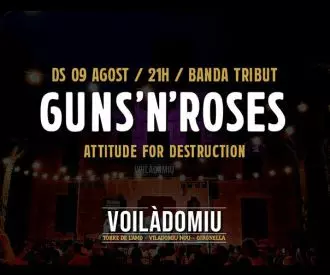 Guns 'n' Roses Tribut - Voilàdomiu