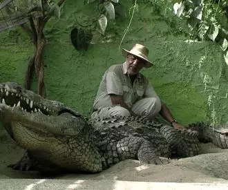 Crocodile park 