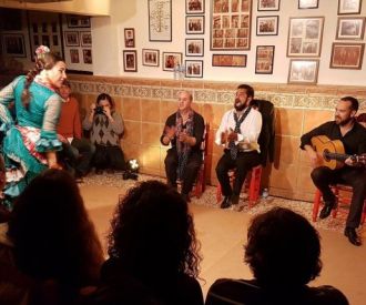 Peña flamenca Niño de Vélez