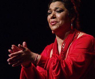 Tomasa Guerrero La Macanita - Mirando al Sur