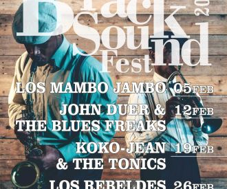 Black Sound Fest