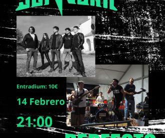 Sonnora + Perfecto Desorden