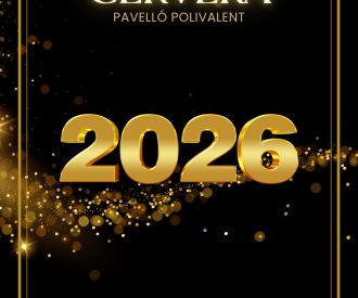 Cap d'Any Pavelló Polivalent CEM