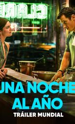 Cartel de la película Una Noche al año