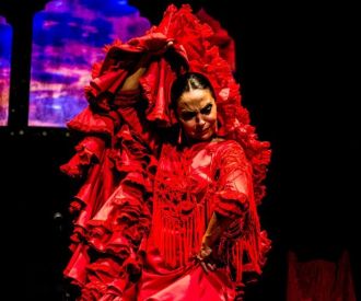 Emociones: Flamenco Puro en el Corazón de Madrid