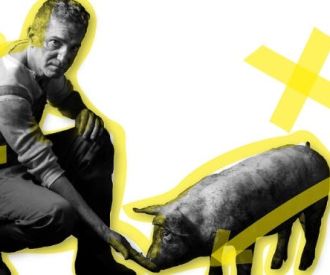 El lladre de llibretes