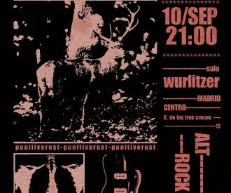 Punitive Room x Rust