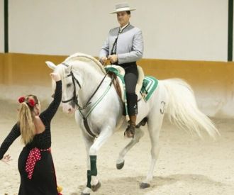 Ritmo a Caballo - Espectáculo Ecuestre & Flamenco
