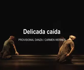 Delicada caída - Carmen Werner