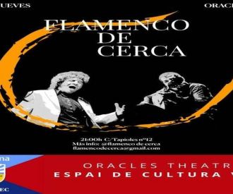 Flamenco de Cerca
