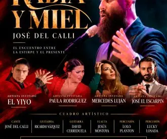 I Festival Flamenco Villa de Archena - De Rabia y Miel - José del Calli