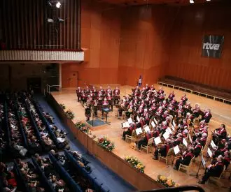 Orquesta de Pulso y púa