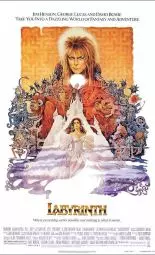 Cartel de la película Dentro del laberinto